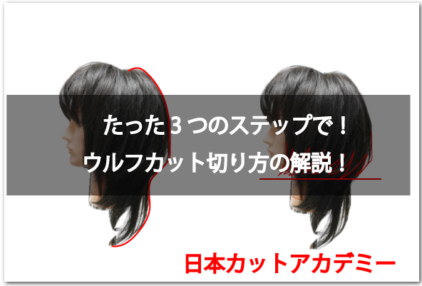 ウルフカット切り方 たった３つのステップで解説 カット講習スクール